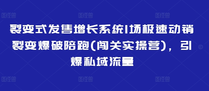 裂变开售提高系统软件1场急速促销裂变式工程爆破陪跑(冲关实际操作营)，点爆私域流量池