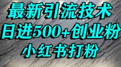 小红书精准引流创业粉，前辈求带孩子走投无路了，单人操作日引500+精准创业粉