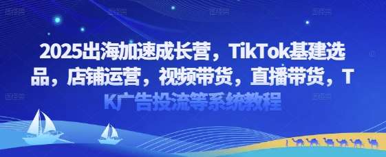 2025出航加速成长营，TikTok基本建设选款，店铺管理，短视频带货，直播卖货，TK广告宣传投流等系统教程