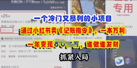 一个小众要求，根据小红书的卖《记账指令》，一本万利，谁做谁发，赶紧进入