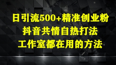 日引流方法500 精确自主创业粉，抖音视频同理心自然玩法，个人工作室都在用的方式