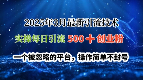 2025年3月全新引流技术，实际操作每日引流方法500 自主创业粉，一个被忽视服务平台，使用方便防封号