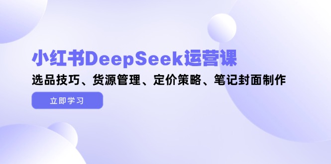 （14748期）小红书的DeepSeek运营课，选款方法、一手货源管理方法、价格策略、手记封面设计