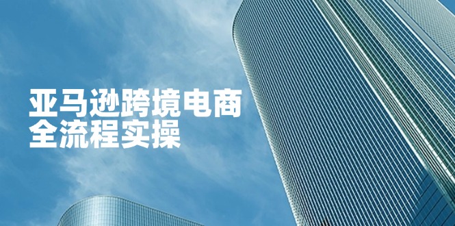 （14252期）亚马逊平台跨境电子商务全过程实际操作，教大家从零开始，把握店铺管理与广告方法