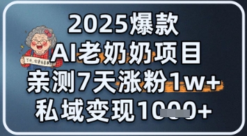 2025爆品 AI 老太太新项目：亲自测试 7 天增粉 1W ，私域变现 1k