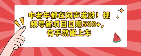中老年人都是在闷声发财，微信视频号最新项目日入好几张，两双手就可进入车内