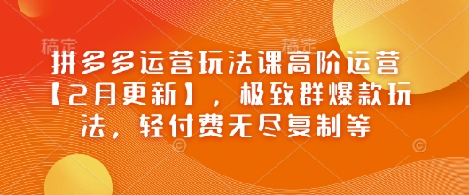 拼多多运营游戏玩法课高级经营【2月升级】，完美群爆品游戏玩法，轻付钱无穷拷贝等