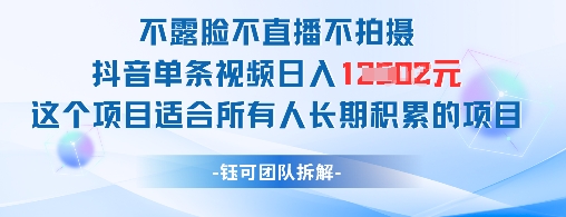 不露脸不直播不拍照抖音视频一条短视频日入1k 这样的项目适合所有人长期积累的新项目