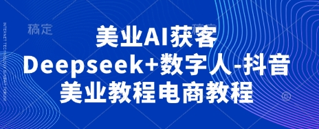 美容连锁AI拓客Deepseek 虚拟数字人-抖音视频美容连锁实例教程电商教程