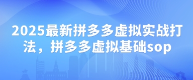 2025全新拼多多平台虚似实战演练玩法，拼多多平台虚似基本sop