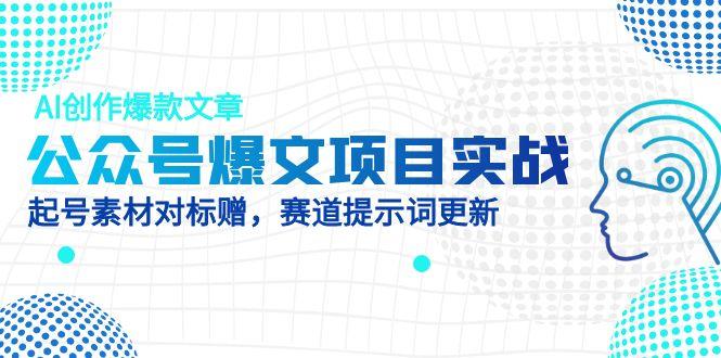 （14709期）微信公众号热文项目实践，AI写作爆款文章，养号素材内容对比赠（附跑道AI引导词）