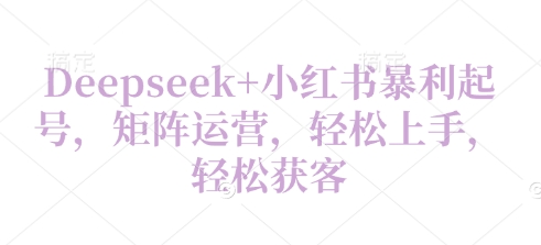 Deepseek 小红书的爆利养号，引流矩阵经营，快速上手，轻轻松松拓客
