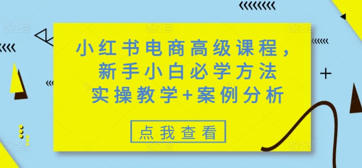 小红书电商高级课程，新手入门必会方式，实际操作课堂教学 经典案例