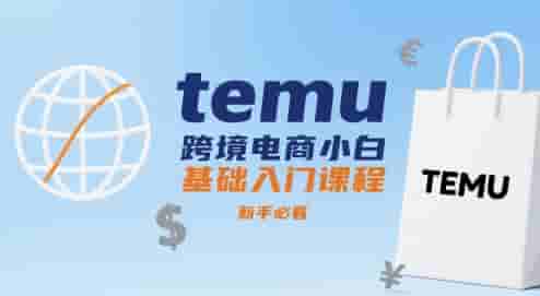 temu跨境电商小白基础入门课程，新手必看