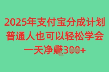 2025年支付宝钱包分为方案，平常人也可以快速掌握，一天盈利3张