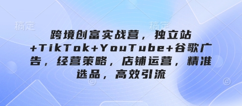 跨境电商财富实战营，自建站 TikTok YouTube 谷歌广告，经营模式，店铺管理，精确选款，高效率引流方法
