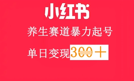 小红书的健康养生跑道，暴力行为养号，轻轻松松日入3张