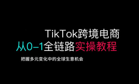 TikTok跨境电子商务从0-1全链路营销多方位实际操作实例教程，掌握多元化发展中全球买卖机遇