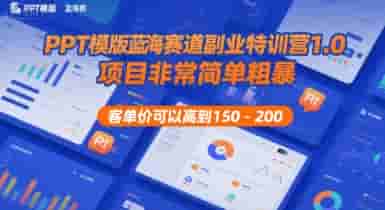 PPT模版蓝海赛道副业特训营1.0，项目非常简单粗暴，客单价可以高到150-200