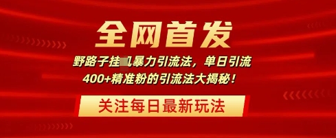 独家首发，歪门邪道暴力行为引流法，单日引流方法400 精准粉的引流法大曝光