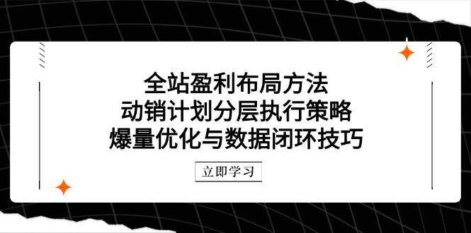 整站赢利合理布局方式：促销方案分层次执行策略，爆量优化与数据闭环方法