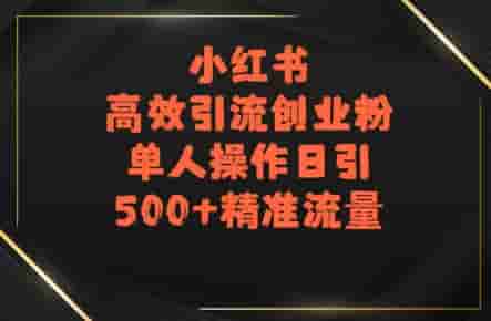 小红书高效引流创业粉，单人操作日引500+精准流量