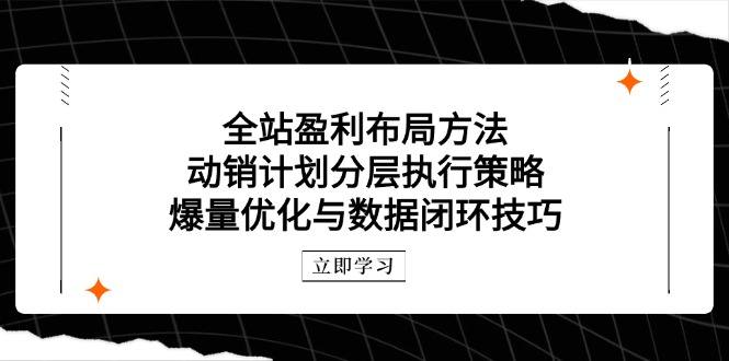 （14698期）整站赢利合理布局方式：促销方案分层次执行策略，爆量优化与数据闭环方法
