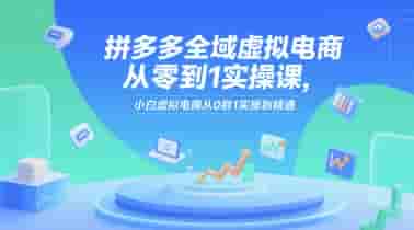 拼多多全域虚拟电商从零到1实操课，小白虚拟电商从0到1实操到精通