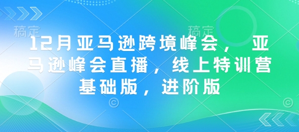 12月亚马逊跨境高峰会， 亚马逊平台峰会直播，网上夏令营标准版，升级版