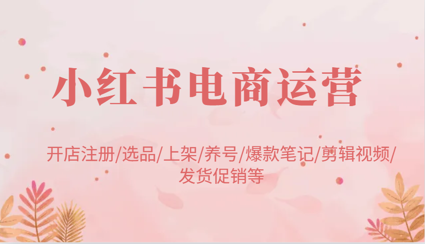 小红书电商经营：开实体店申请注册/选款/发布/起号/爆品手记/视频编辑/安排发货促销等