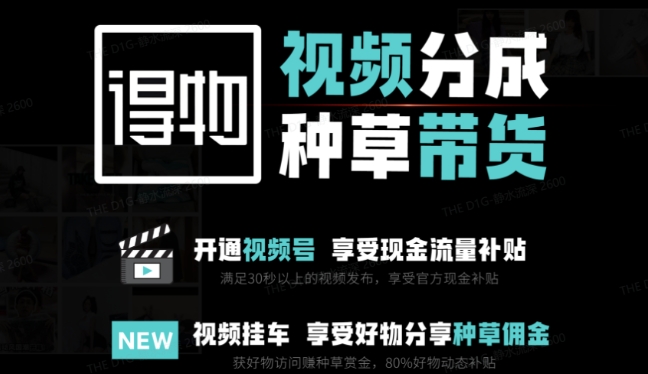 外边卖去1980得物双通道内存游戏玩法新项目拆卸，3-7天一个养号周期时间，每月最低有3k – 5k【揭密】