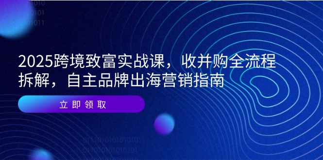 （14975期）2025跨境电商发家致富实战演练课，收并购全过程拆卸，自有品牌出海营销手册