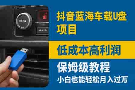 抖音蓝海车载U盘项目，低成本高利润保姆级教程，小白也能轻松月入过W