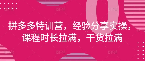 拼多多平台夏令营，心得分享实际操作，课程内容时间打满，干货知识打满(升级25年4月)