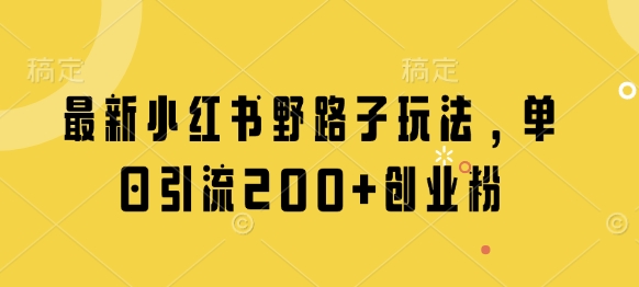 全新小红书的歪门邪道游戏玩法，单日引流方法200 自主创业粉