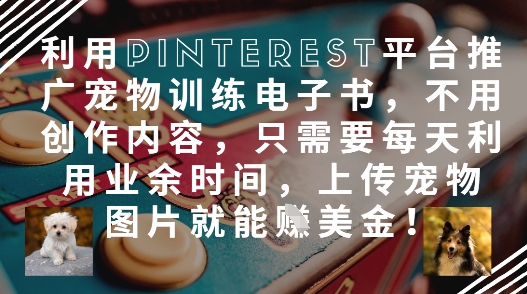 运用Pinterest产品推广宠物培训电子书籍，无需创作内容，只需要每天在业余时间，提交宠物图片就能赚美元!