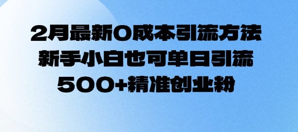 2月全新0成本费推广方法，新手入门也可以单日引流方法500 精确自主创业粉