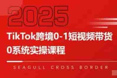 TikTok跨境0-1短视频带货，系统拆解TikTok跨境带货全链路，实现跨境可持续盈利