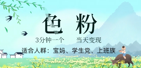 小视频S粉方案，3 min原创设计，当日转现