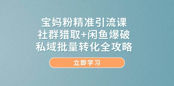 宝妈粉精准引流方法课，社群营销捕获 闲鱼平台工程爆破，公域大批量转换攻略大全