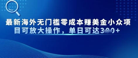 全新国外零门槛美元冷门新项目可变大实际操作，单日可以达到3张