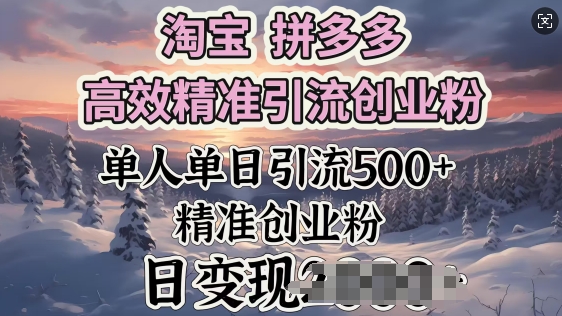 淘宝拼多多高效率精准引流方法自主创业粉，单人单日引流方法500 自主创业粉，日转现好几张
