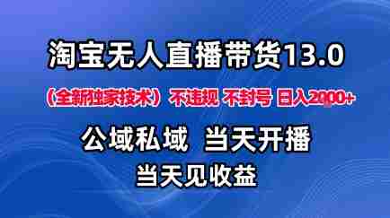 淘宝无人直播13.0，公域私域技术，不封号，不违规布局下半年旺季赛道，日入1K+（独家技术）【揭秘】