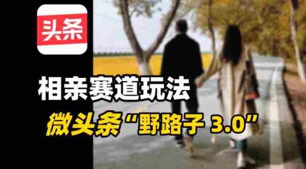 微头条“野路子3.0”相亲赛道玩法，搬砖式操作单号稳定3张
