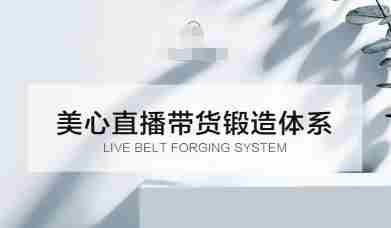 直播带货锻造体系课，5G时代美心一站式帮你开启直播带货之路【音频】